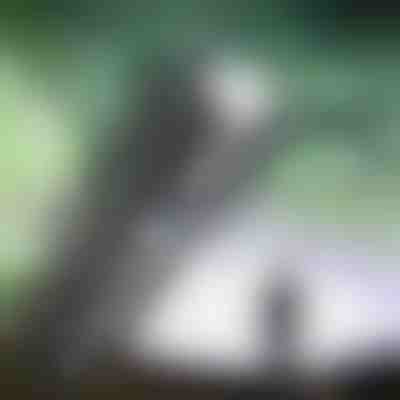 Llambë e fuqishme e rimbushshme | BLAZORA