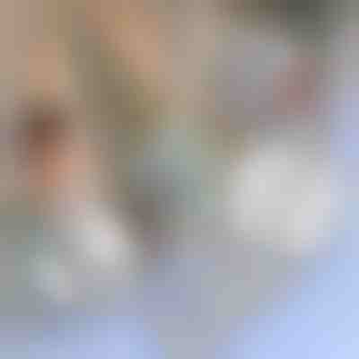 Shirit riparimi për rrjeta kundër insekteve | INSECTAPE