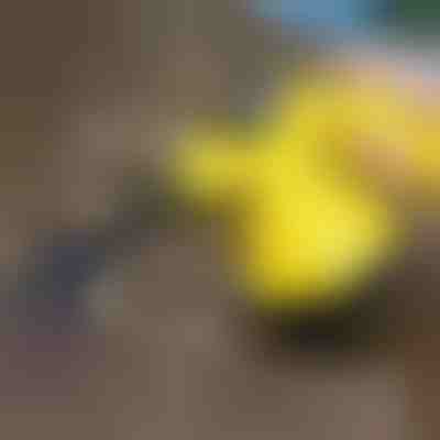 Pastrojës me avull për dezinfektim | VAPERO